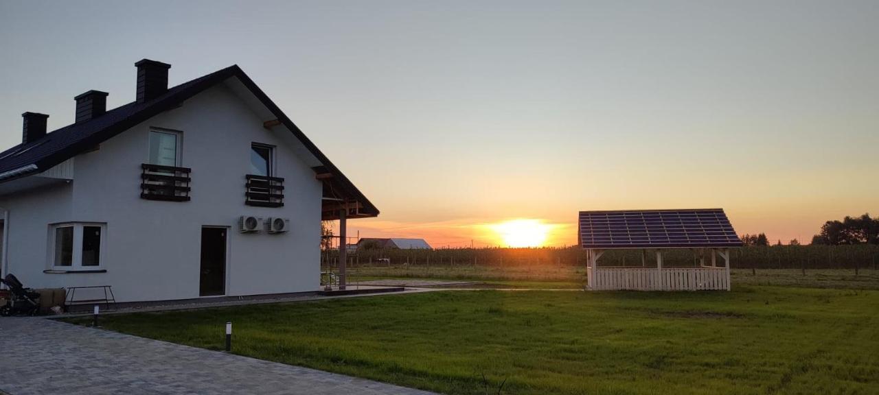 Apartamenty Wilga Bagian luar foto